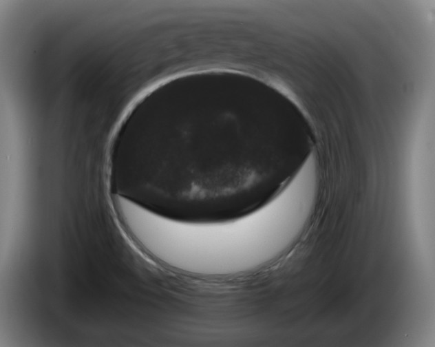 X0000086091508200703301139