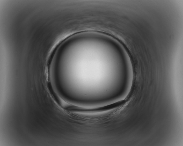 X0000086091509200703301139