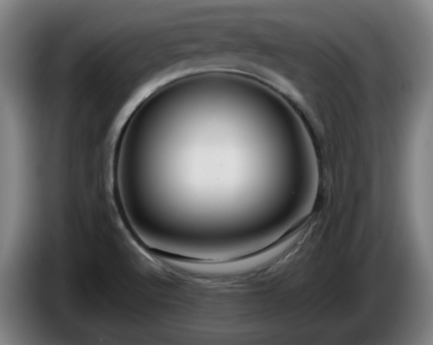 X0000086091512200703301139