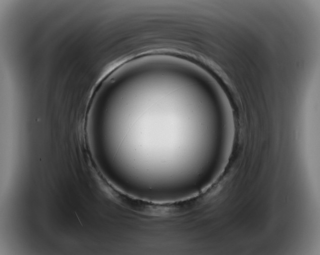 X0000086091513200703301139