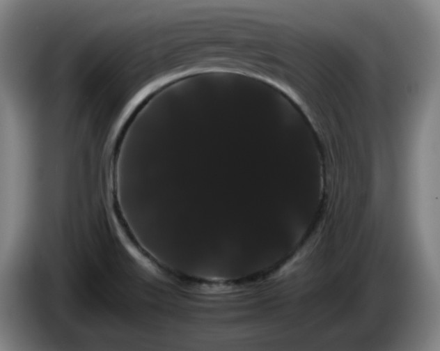 X0000086091515200703301139