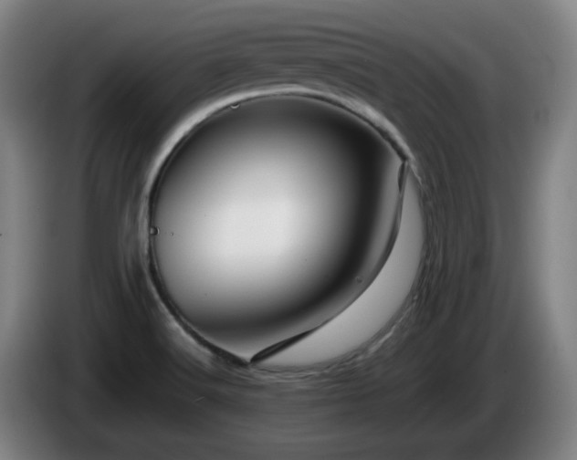 X0000086091516200703301139