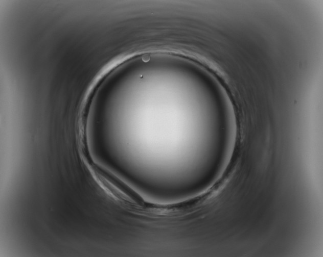 X0000086091517200703301139