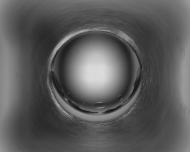 X0000086091520200703301139