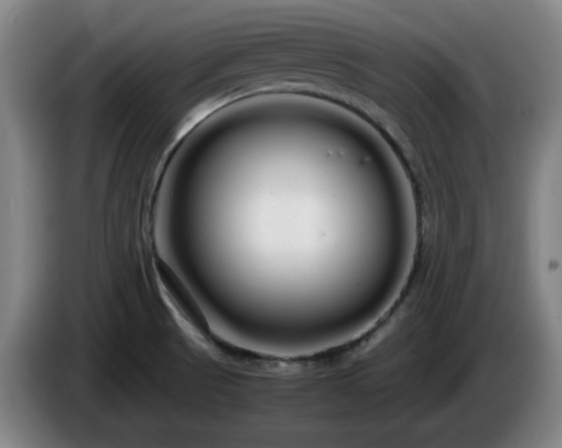 X0000086091521200703301139