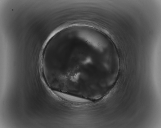 X0000086091522200703301139