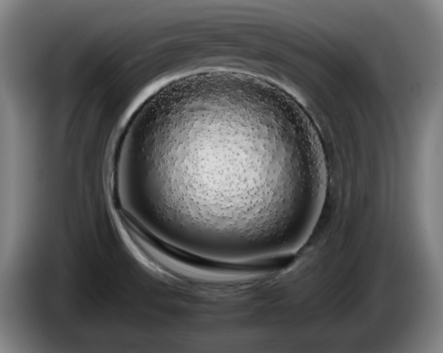 X0000086091523200703301139