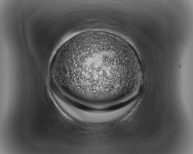 X0000086091525200703301139