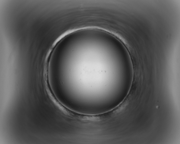 X0000086091526200703301139