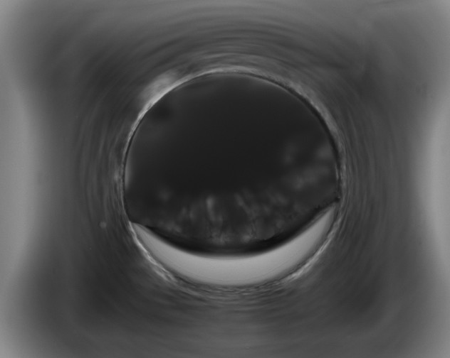 X0000086091529200703301139