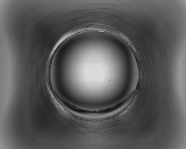 X0000086091530200703301139