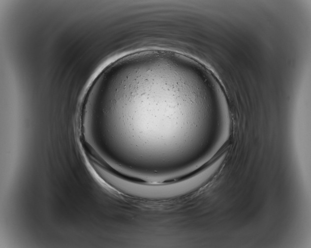 X0000086091531200703301139