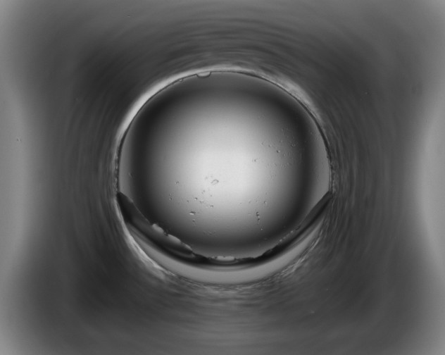 X0000086091532200703301139