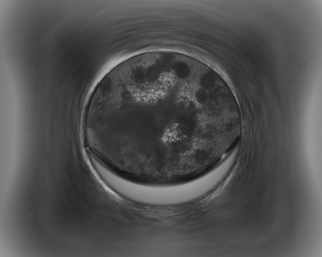 X0000086091533200703301139