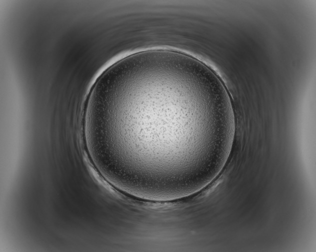 X0000086091534200703301139