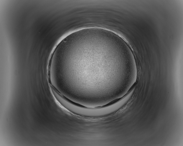 X0000086091535200703301140