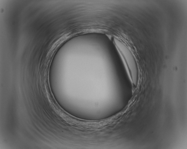 X0000086090001200704091338