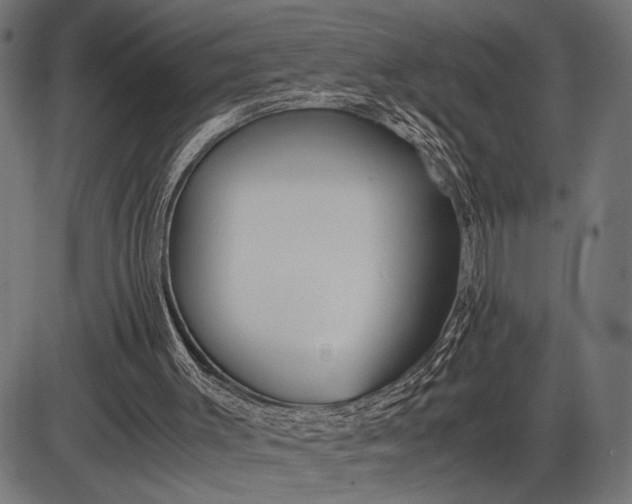 X0000086090003200704091338