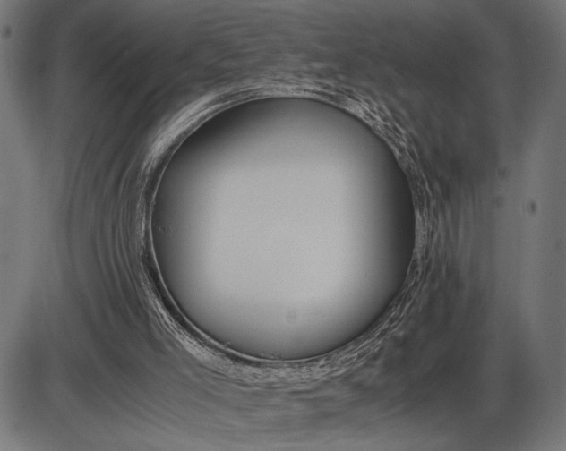 X0000086090005200704091338