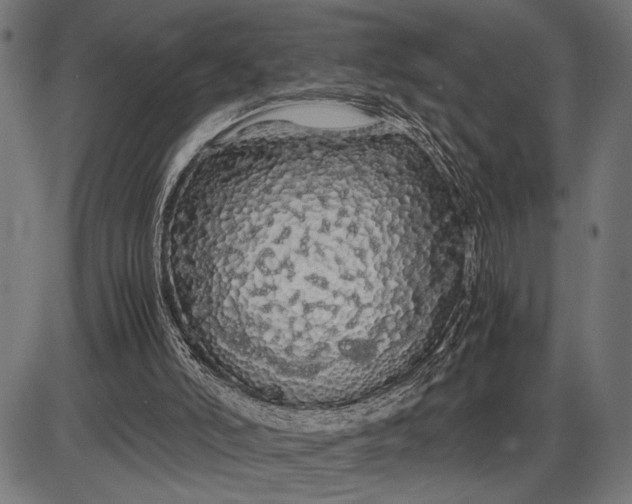 X0000086090006200704091338