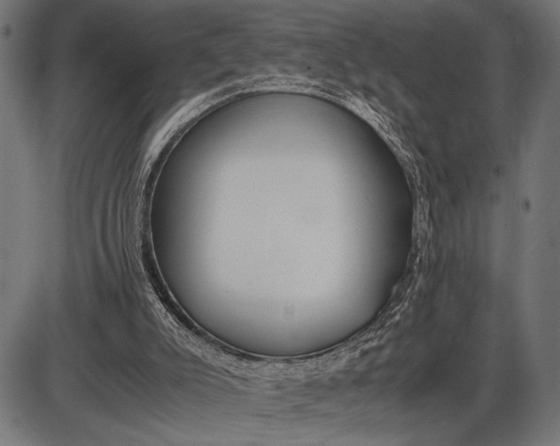 X0000086090007200704091338