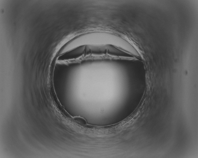 X0000086090008200704091338