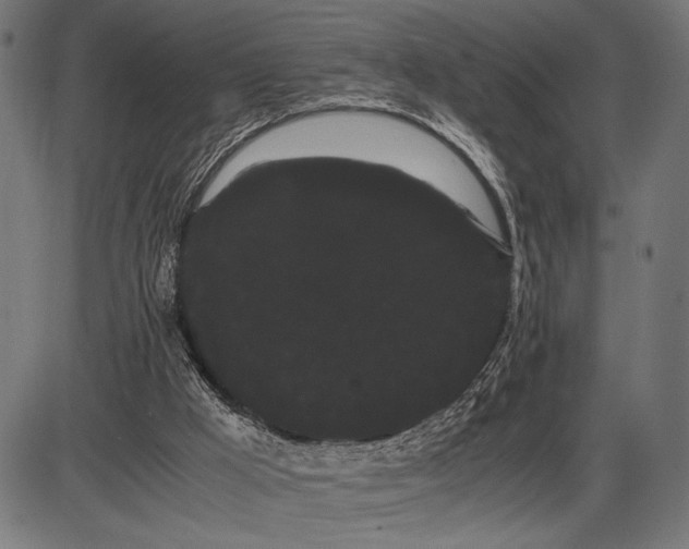 X0000086090009200704091338