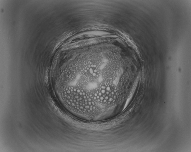 X0000086090010200704091338