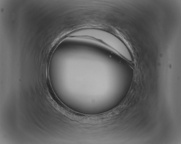 X0000086090011200704091338