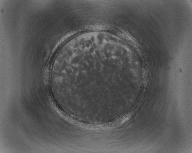 X0000086090012200704091338