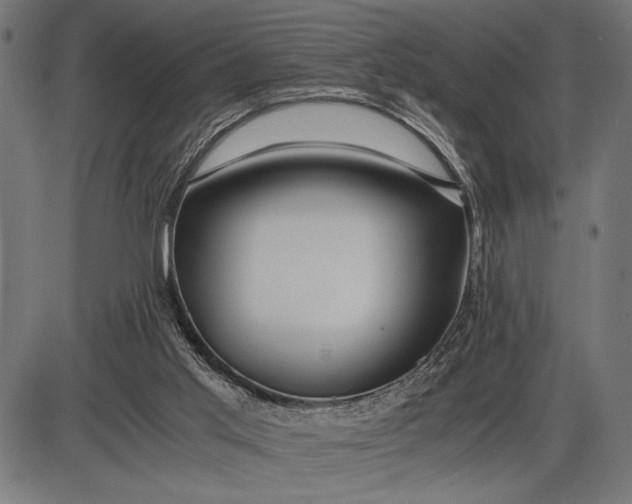 X0000086090013200704091338