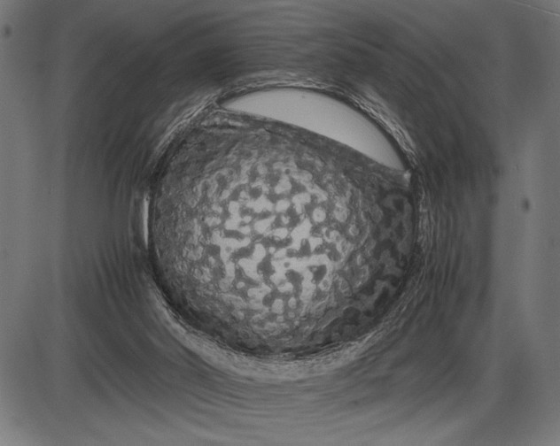 X0000086090014200704091338