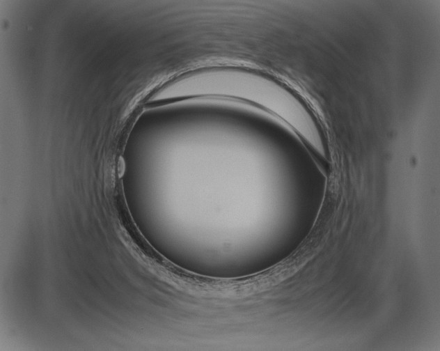 X0000086090015200704091338