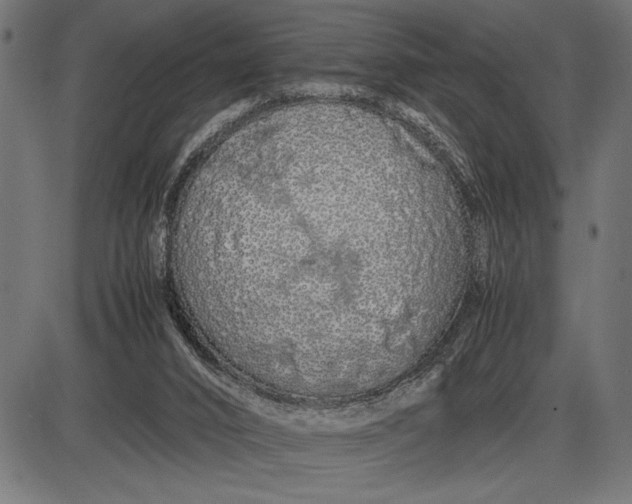 X0000086090016200704091338