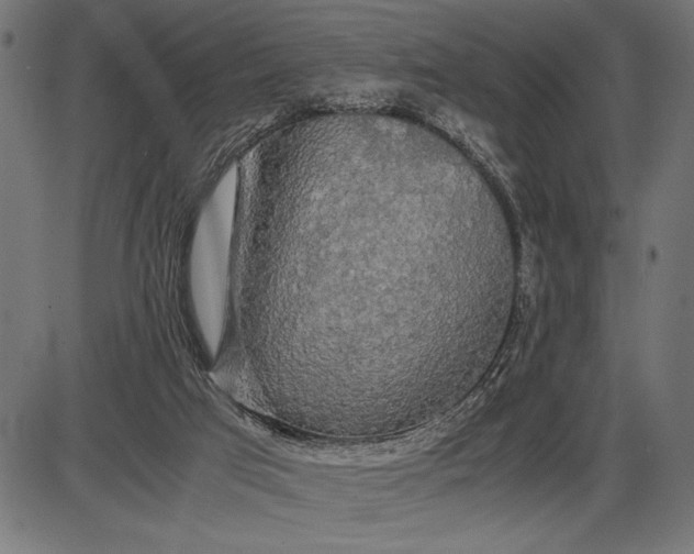 X0000086090017200704091338