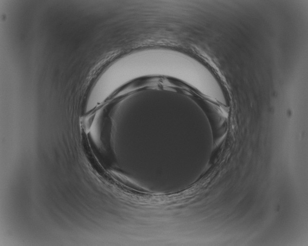 X0000086090019200704091338