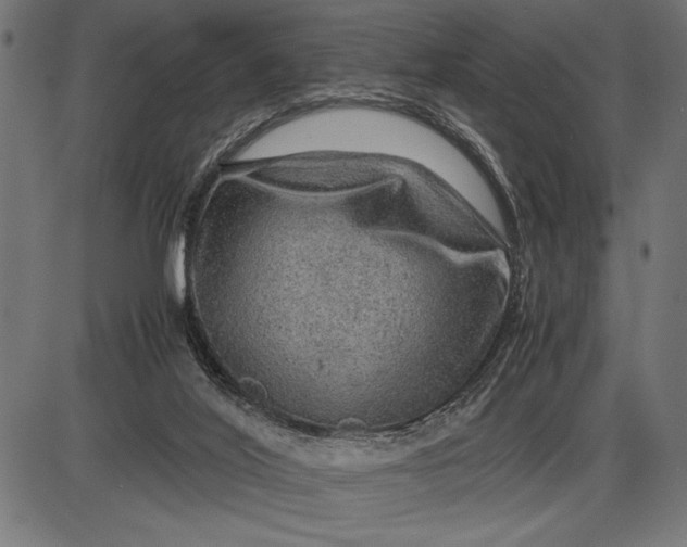 X0000086090020200704091338