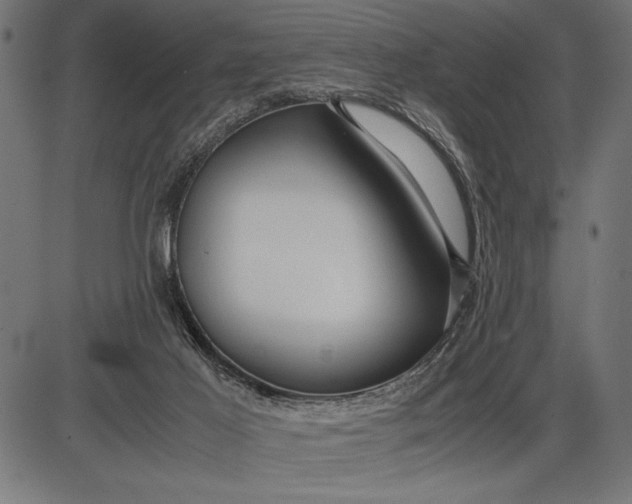 X0000086090021200704091338