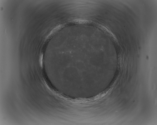 X0000086090024200704091338