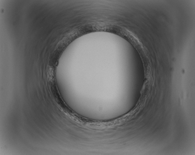 X0000086090025200704091338