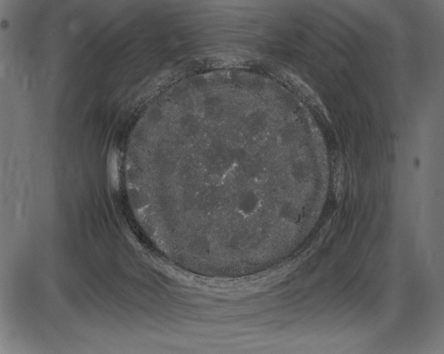 X0000086090026200704091338