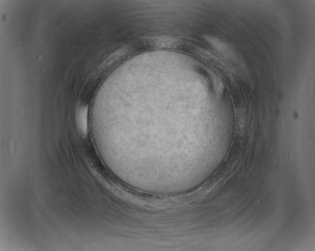 X0000086090028200704091338