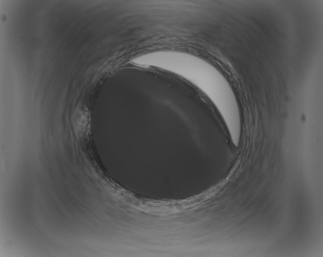 X0000086090029200704091338