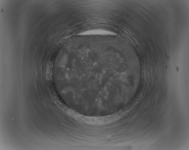 X0000086090030200704091338