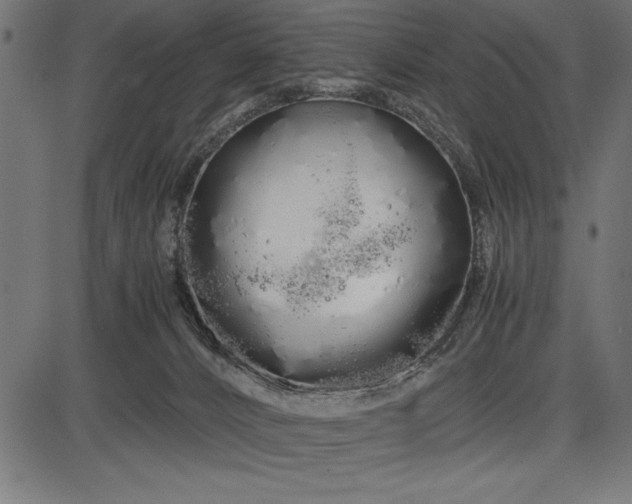 X0000086090032200704091338