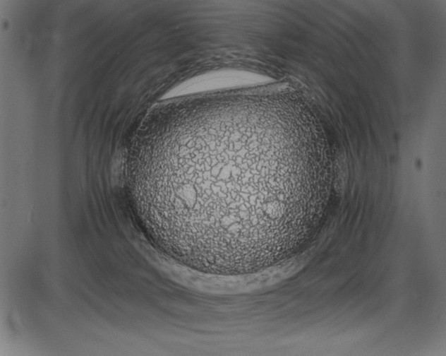 X0000086090034200704091338