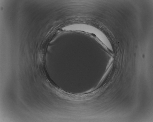 X0000086090035200704091338