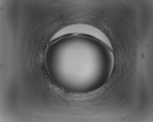 X0000086090037200704091338