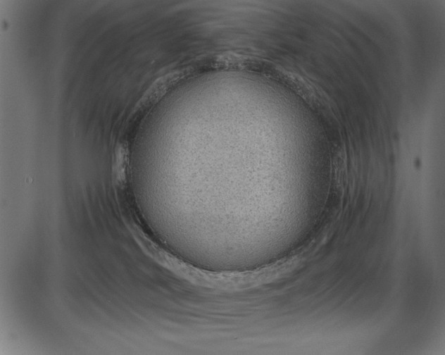 X0000086090038200704091338