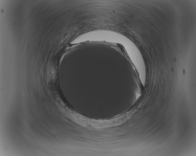 X0000086090039200704091338